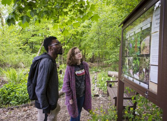 Drew Senior Displays Nature Photos