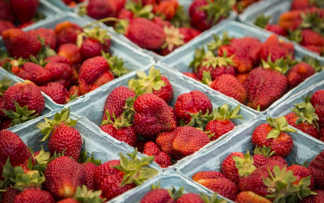 Drew Celebrates Return of the Madison Farmers Market