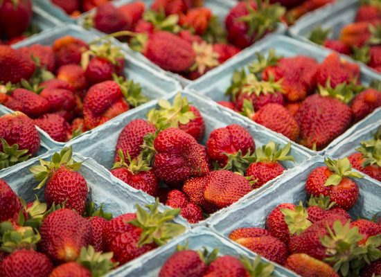 Drew Celebrates Return of the Madison Farmers Market