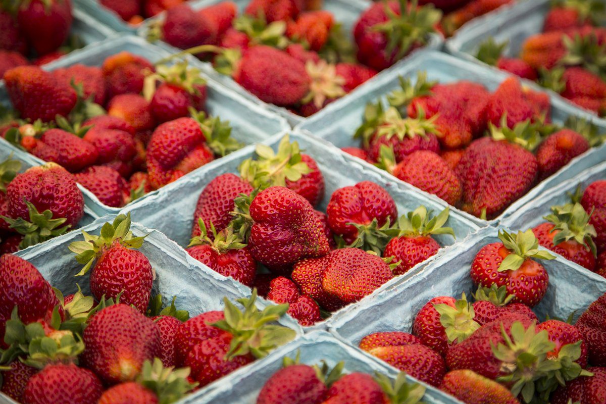 Drew Celebrates Return of the Madison Farmers Market