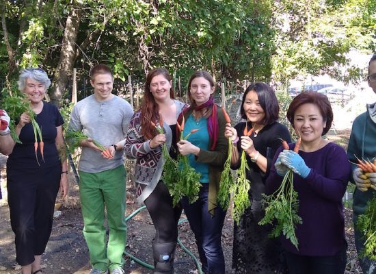 Drew Theological School an Ecological Leader