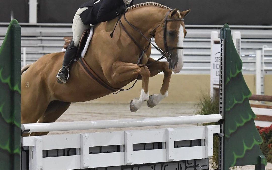 Alyx Swope-Bell C’26 Continues Her Life-Long Riding Passion at Drew