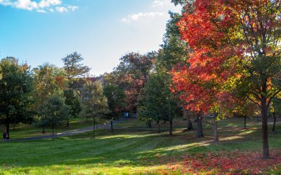 The Princeton Review Names Drew University to Guide to Green Colleges List