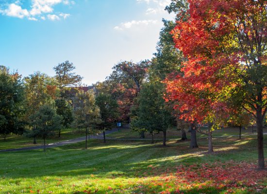 The Princeton Review Names Drew University to Guide to Green Colleges List