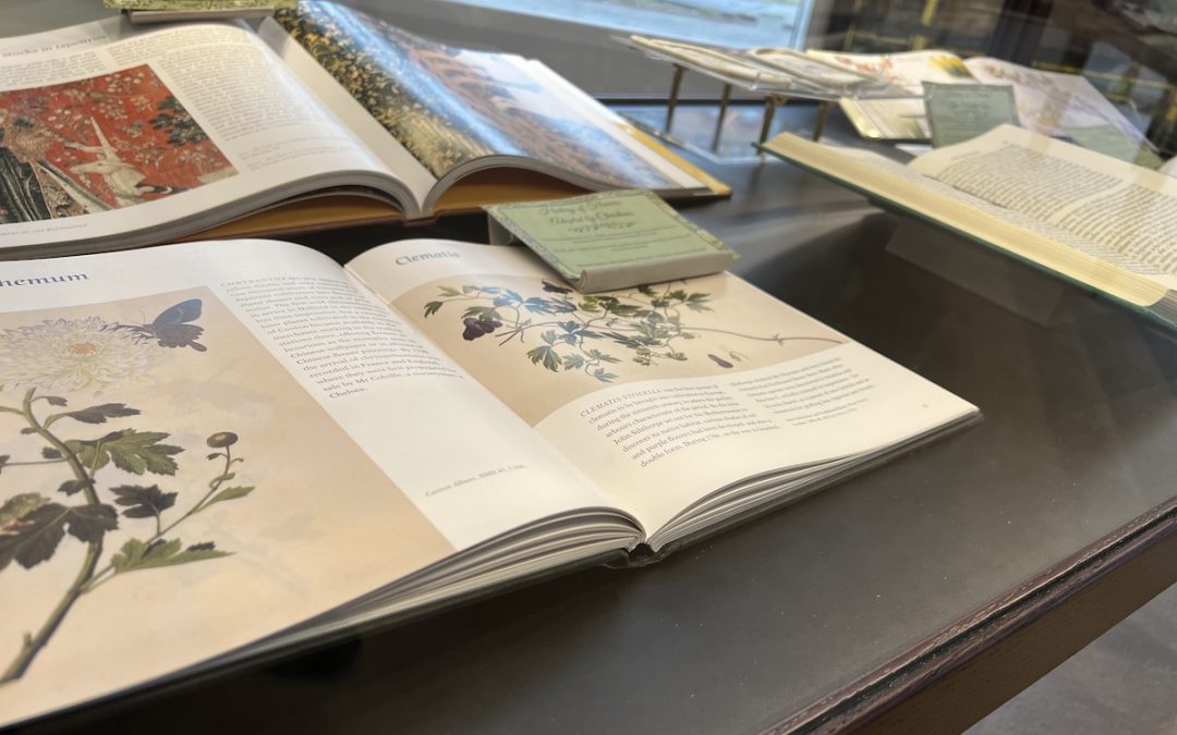 Drew University Students Mix Flowers and Language in Hands-On Experience