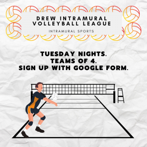 Volleyball-Insta-1-300x300