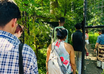 Participants observing a mindful moment at the Zuck Arboretum, Drew