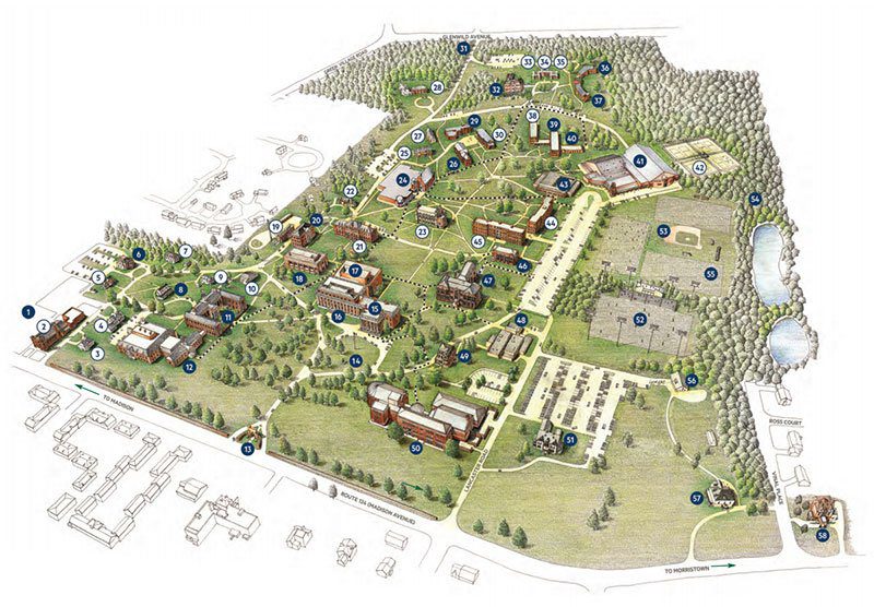 map img