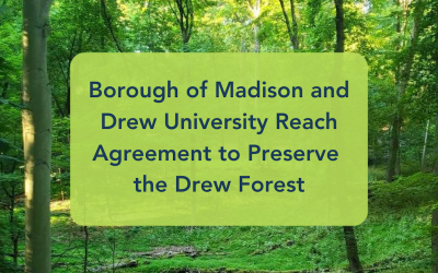 Borough of Madison and Drew University Reach Agreement to Preserve Drew Forest and Zuck Arboretum