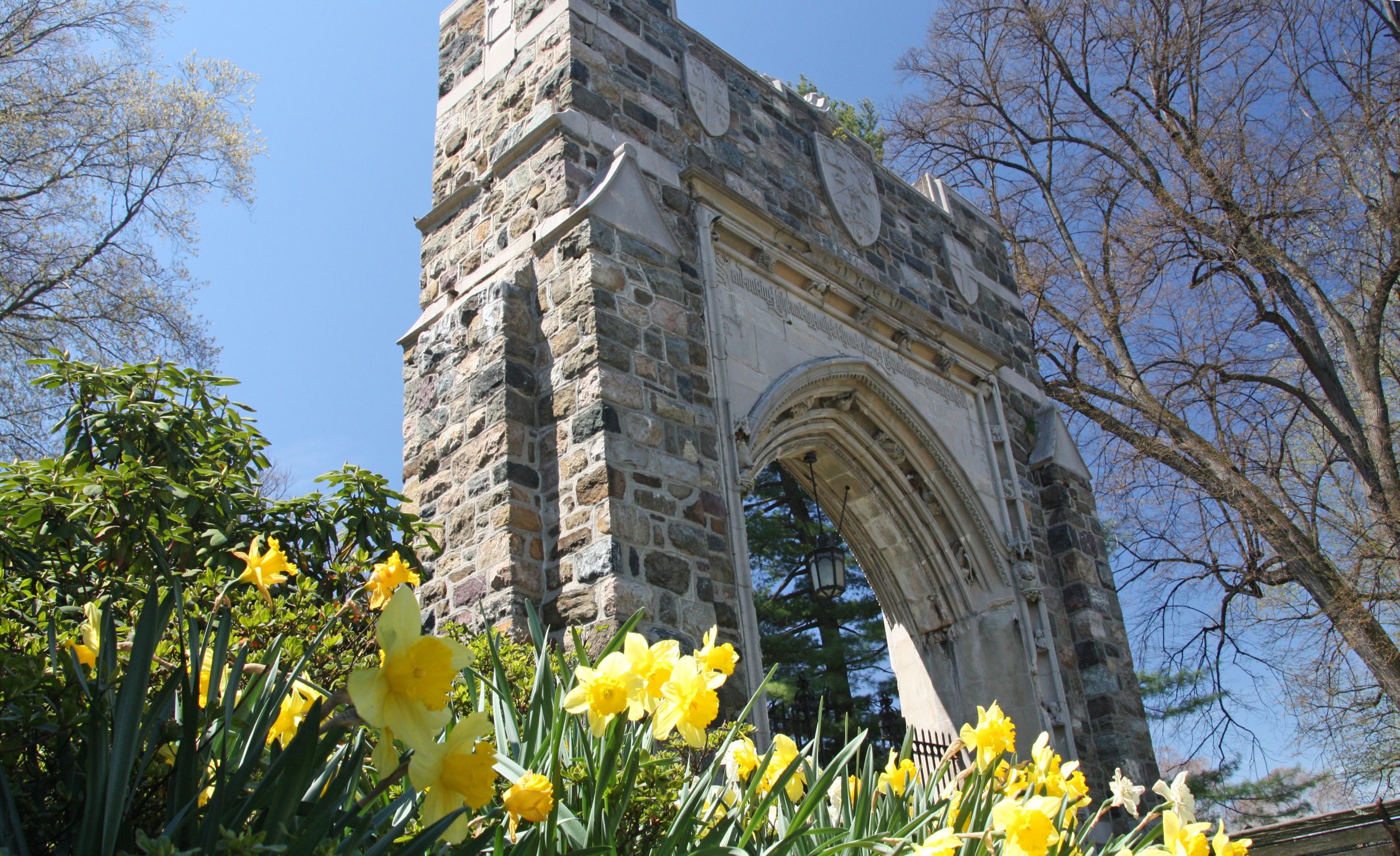 In Memoriam 2025: Remembering Our Alums - Drew University