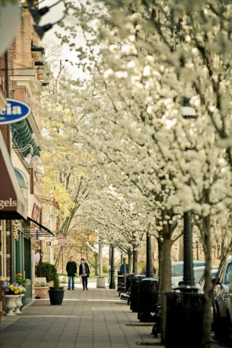 Downtown Madison; 3-29-2012; Bill Cardoni, photographer