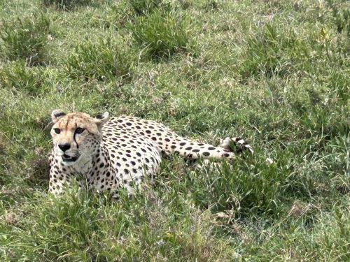 From Rhonda Rush’s [C’71] trip to Tanzania